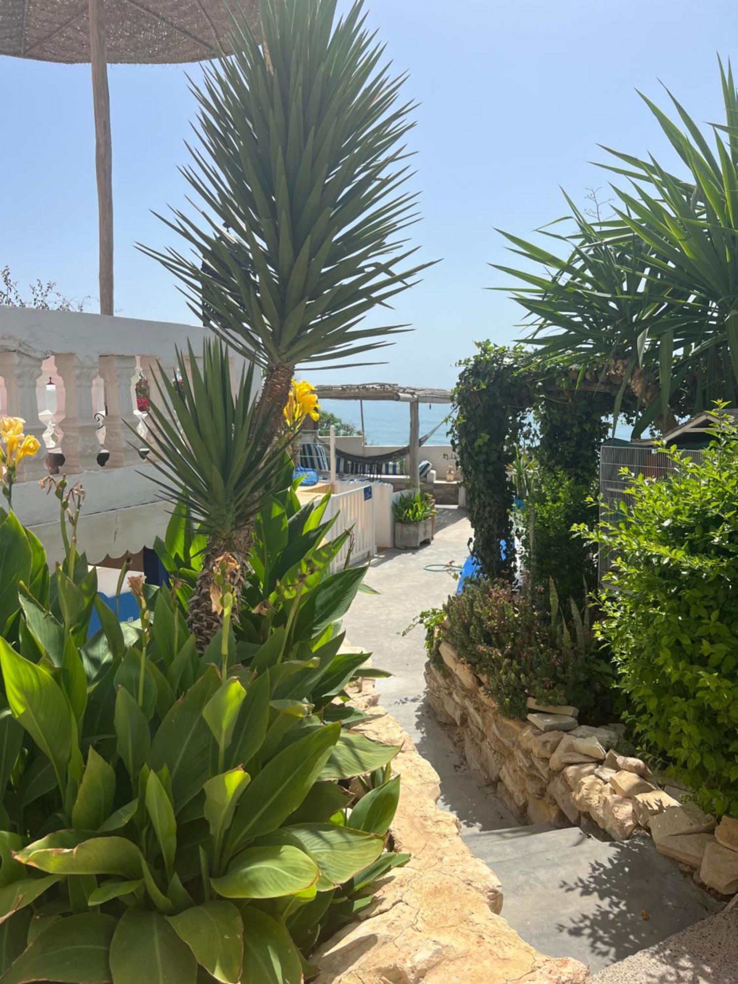 Villa Jardin De L'Ocean Aourir Eksteriør billede