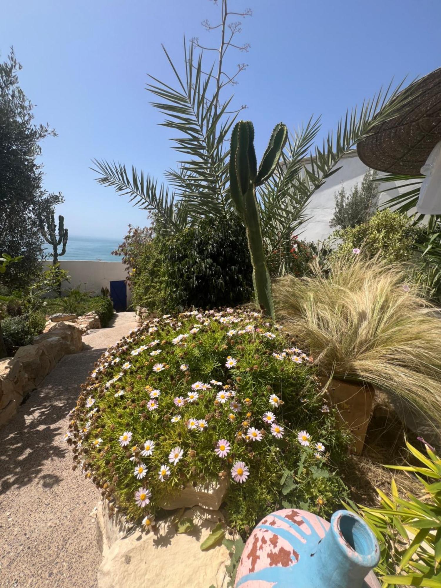 Villa Jardin De L'Ocean Aourir Eksteriør billede